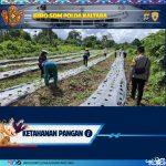 Bhabinkamtibmas Polsek Malinau Selatan Dampingi Warga Kelola Lahan Pertanian Dukung Ketahanan Pangan