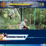 Brimob Polda Kaltara Rawat Tanaman Pangan Dukung Ketahanan Nasional